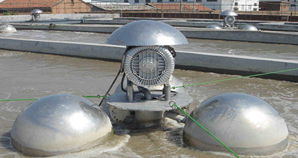 如何根據(jù)西瑪電機(jī)的外表來(lái)檢查防護(hù)等級(jí)的一致性？